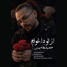 آهنگ جدید حمید هامیس به نام از تو داغونم